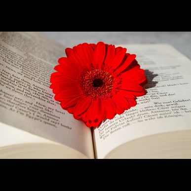 次世代型3Dハイフでフェイシャルエステをするなら北名古屋市のP2-LABO2階　WECXII 【ウェクシー】 北名古屋店へ